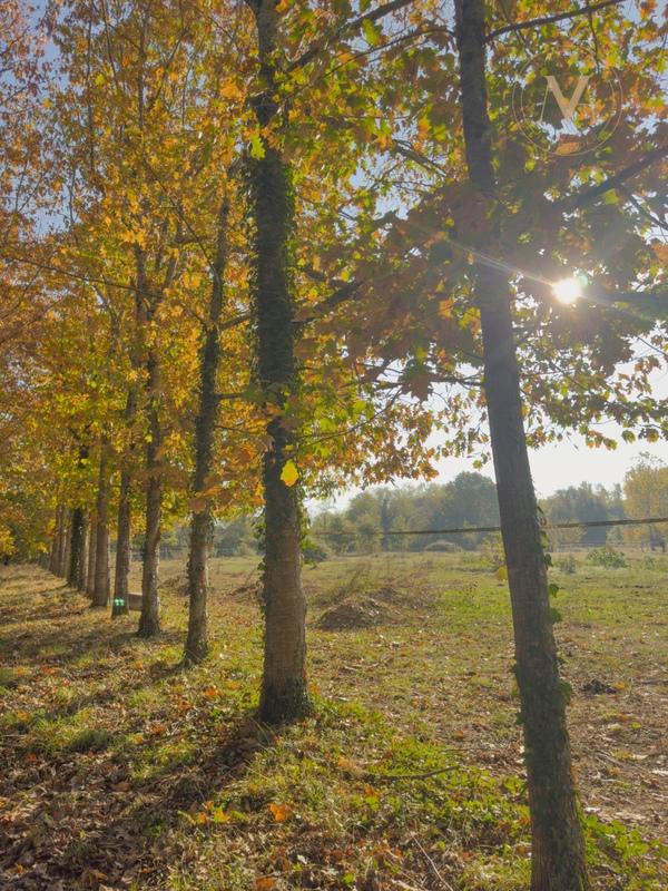 Maison - 273 m² - 7 pièces