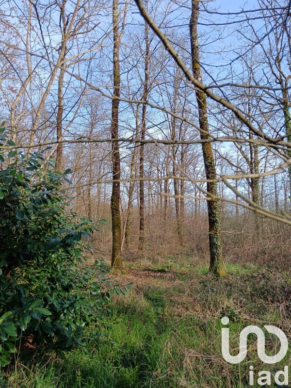 Terrain - 24 045 m²