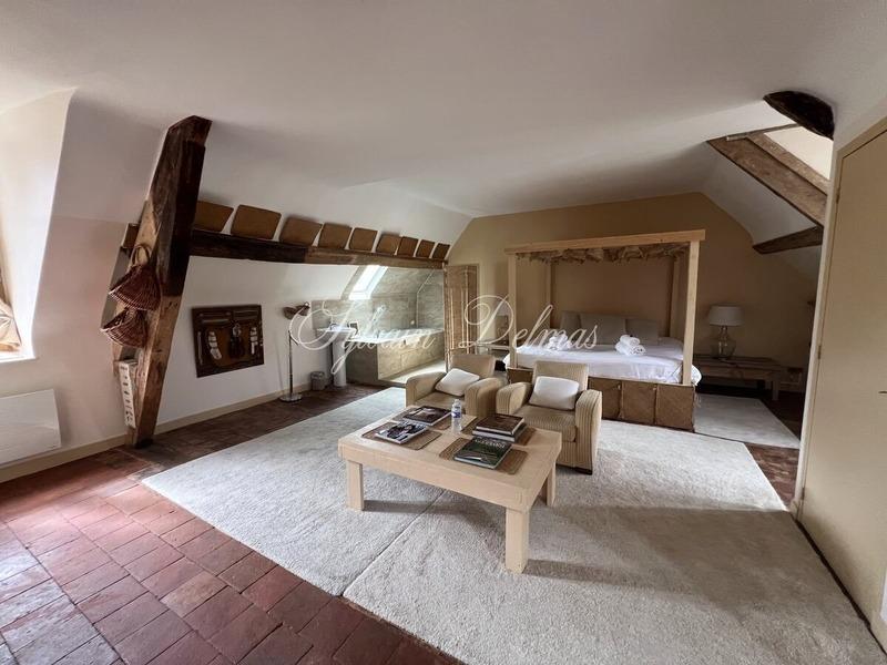 Château - 4 400 m² - 35 pièces