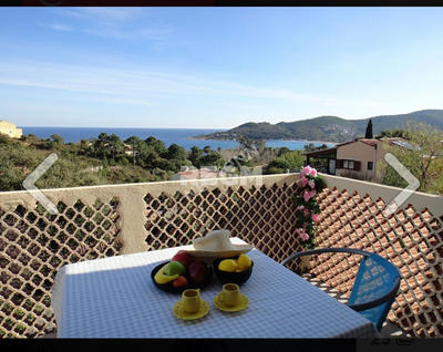 Propriété - 450 m² - 17 pièces