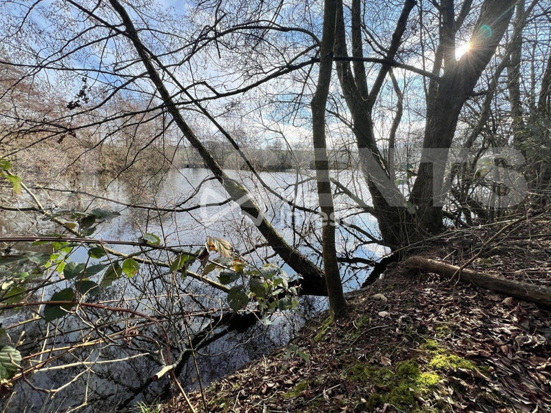 Terrain - 11 640 m²