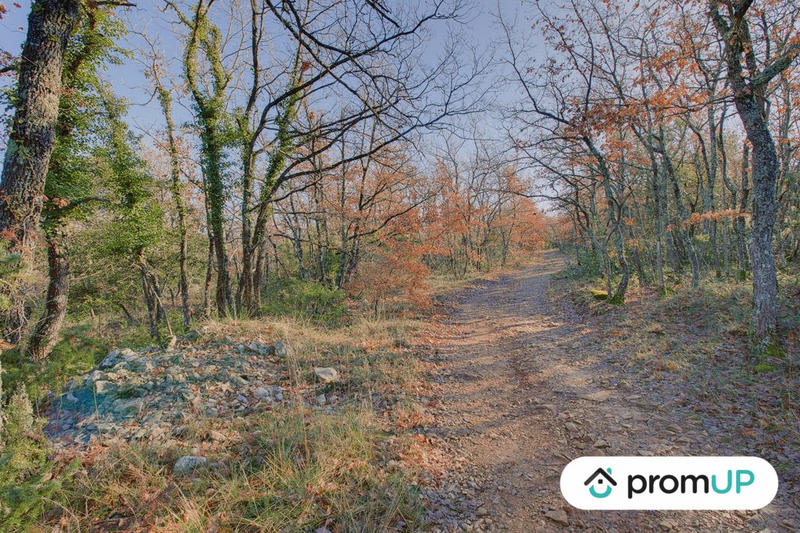 Terrain de loisirs - 44 605 m²