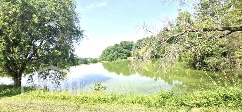 Propriété - 110 m² - 4 pièces