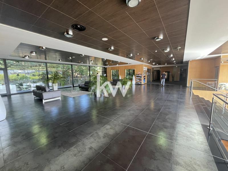 Bureau - 270 m²