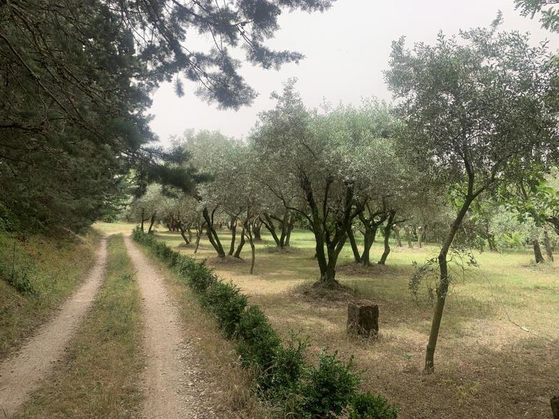 Terrain constructible - 400 m²