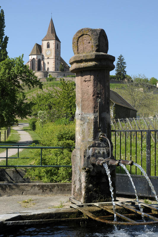 Petit train touristique de Ribeauvillé et Hunawihr