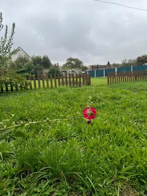 Maison - 97 m² - 4 pièces