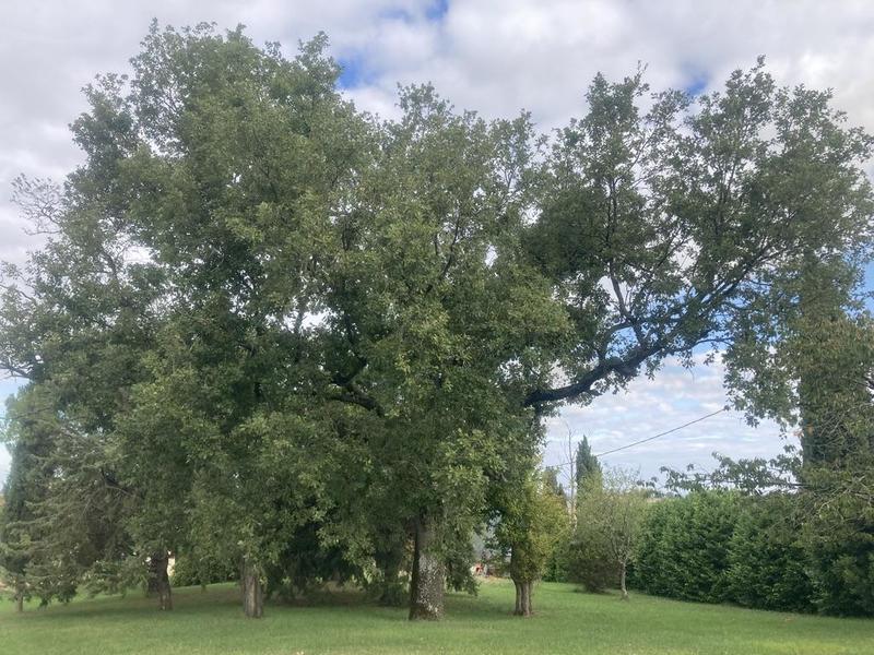 Villa - 121 m² - 4 pièces