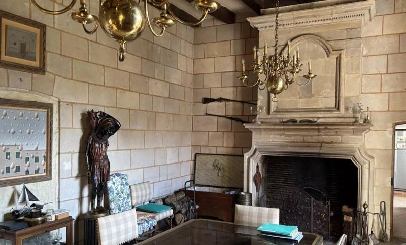 Manoir - 1 200 m² - 20 pièces