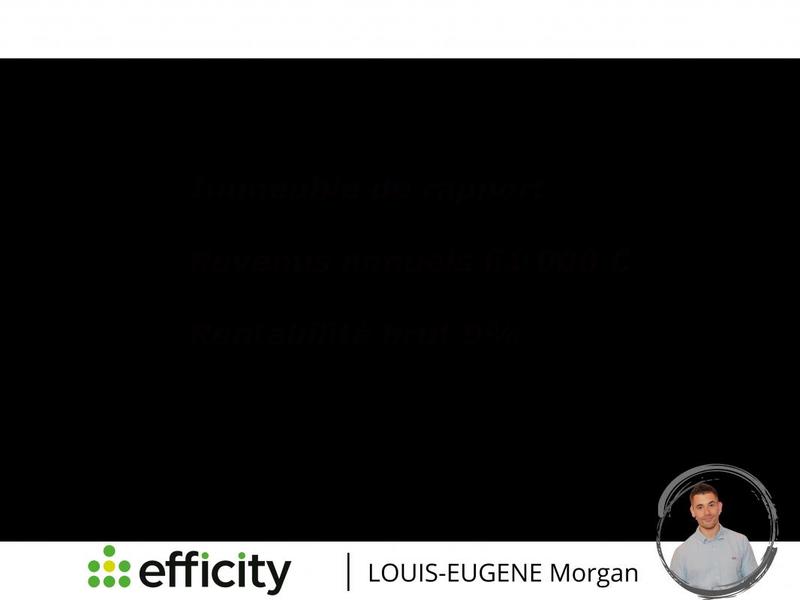 Immeuble - 550 m² - 20 pièces