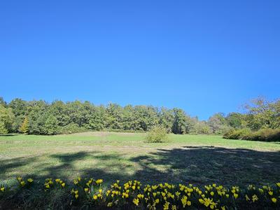 Maison en pierre - 250 m² - 9 pièces