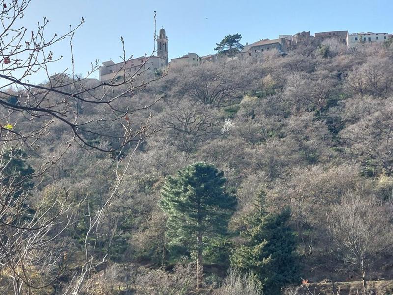 Terrain constructible - 1 100 m²