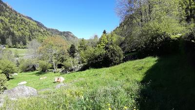 Terrain constructible - 11 657 m²
