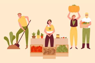 Marché Bio à Saint-Martin