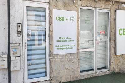 Maison - 354 m² - 10 pièces