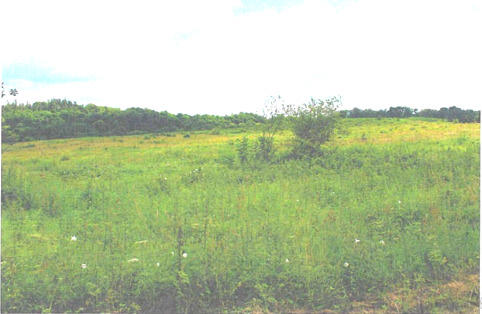 Villa - 61 m² - 1 pièce