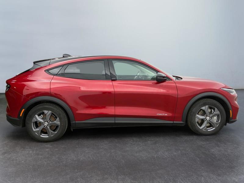 Ford Mustang Mach-E Standard Range 76 kWh 269 ch