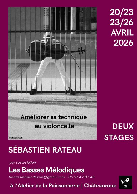 Stage : les petits ateliers du Violoncelle