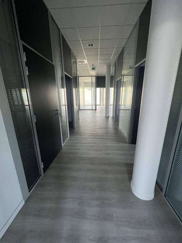 Bureau - 236 m²