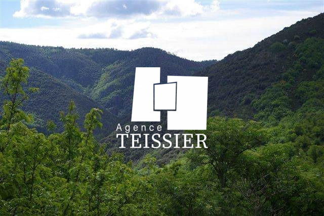 Château - 400 m² - 12 pièces