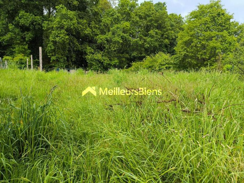 Maison en pierre - 85 m² - 4 pièces