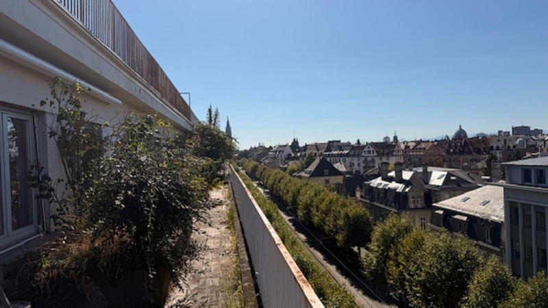 Appartement - 218 m² - 6 pièces