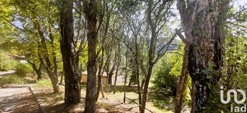 Terrain - 223 177 m²