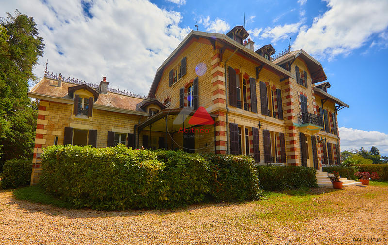 Château - 1 700 m² - 33 pièces