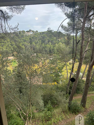 Appartement - 15 m² - 1 pièce