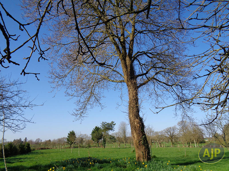 Maison - 158 m² - 6 pièces