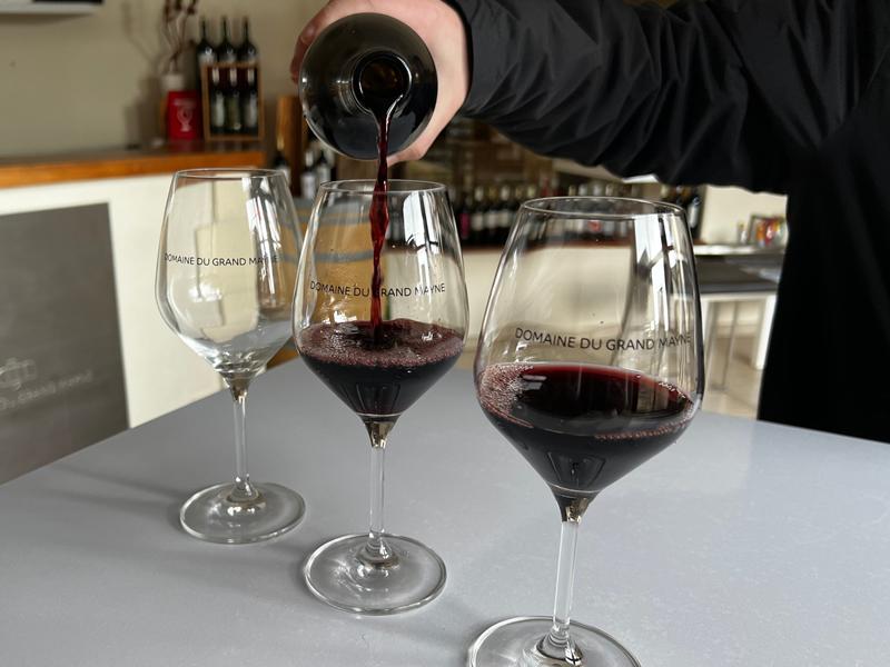 Tour du domaine et dégustation au Domaine du Grand Mayne