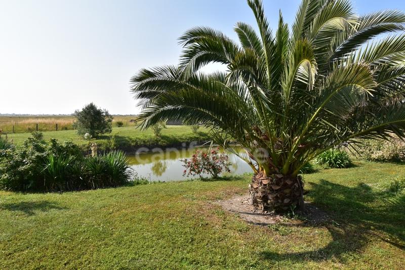 Longère - 93 m² - 6 pièces