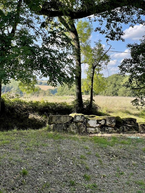 Maison ancienne - 409 m² - 12 pièces