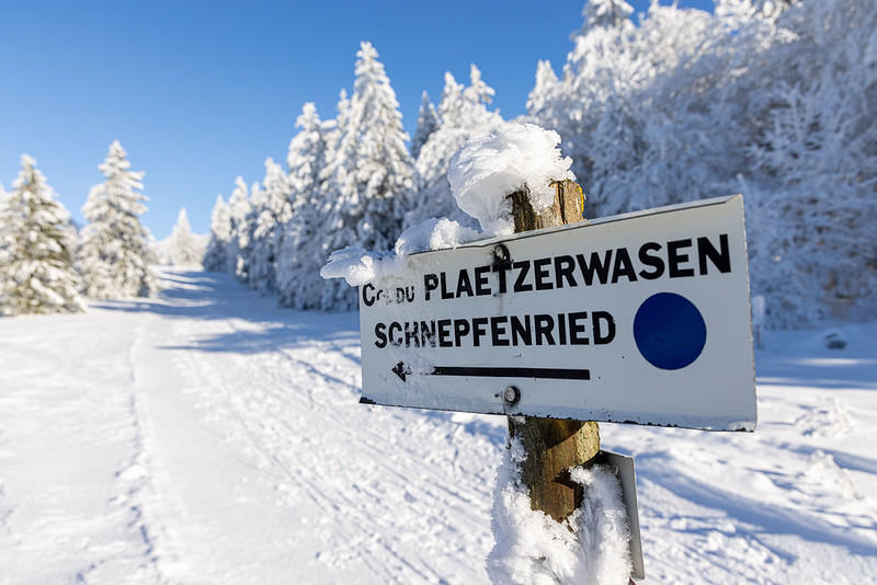 Sortie au Platzerwasel