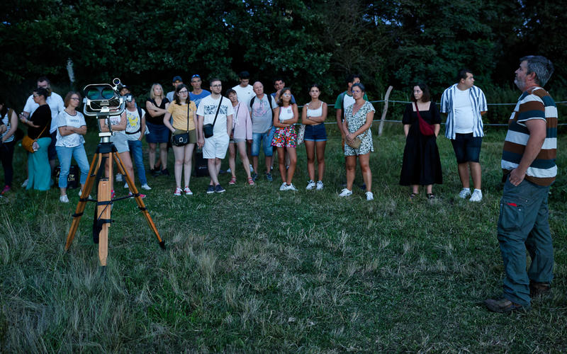 Rendez-vous nature : la tête dans les étoiles