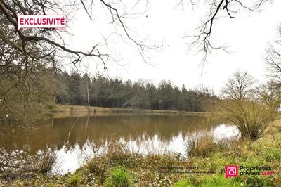 Terrain de loisirs - 11 556 m²