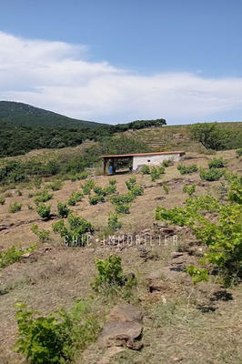 Terrain - 8 000 m²