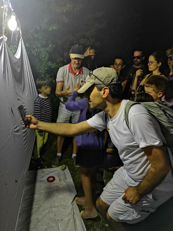 Les héros de l’ombre ! Moustiques, mouches et papillons…