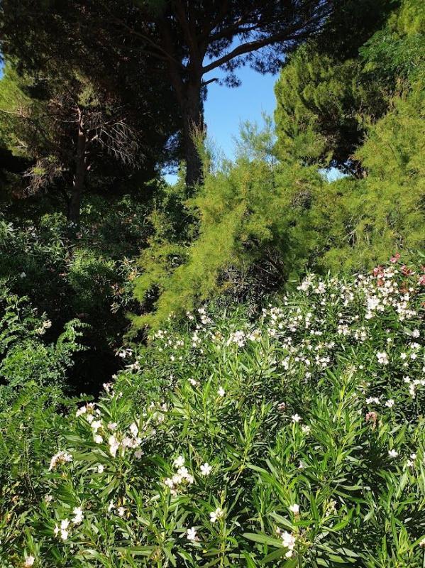 Studio - 25 m² - 2 pièces