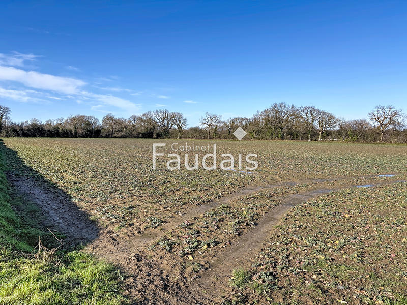 Terrain agricole - 17 929 m²