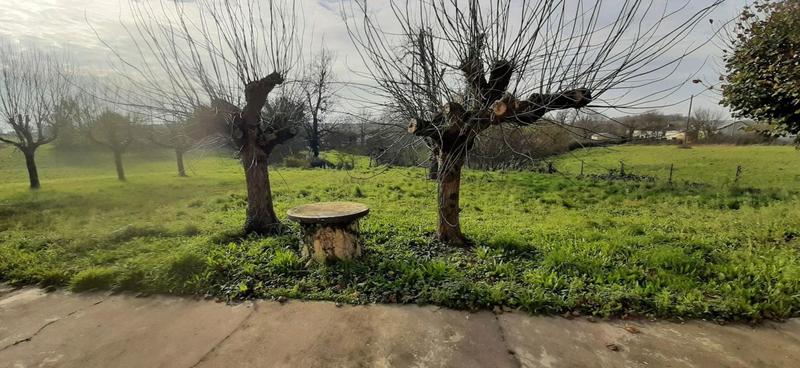 Maison - 200 m² - 6 pièces