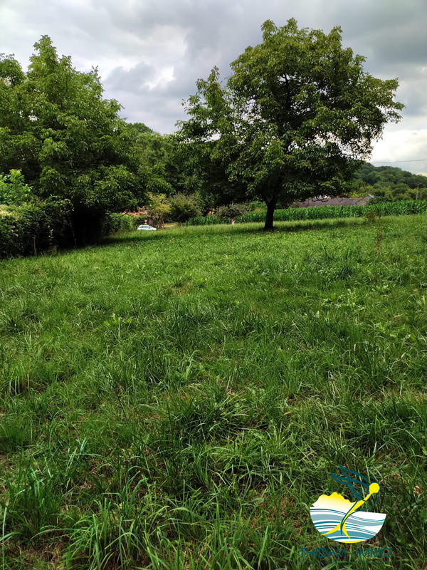 Terrain agricole - 2 260 m²