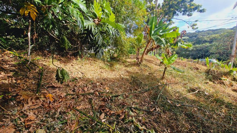 Maison - 187 m² - 9 pièces