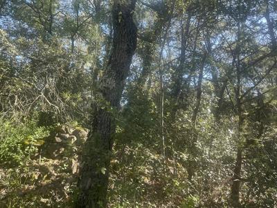 Terrain inconstructible - 10 411 m²