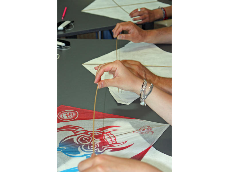 Balade découverte sur la plage d'Hermanville (comprend un atelier cerf volant)