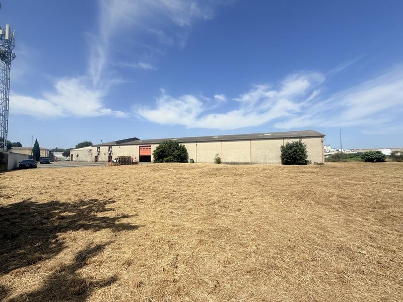 Local d'activités - 1 205 m²