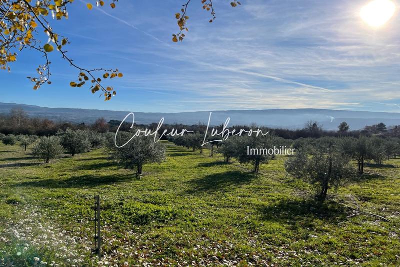 Propriété - 190 m² - 7 pièces