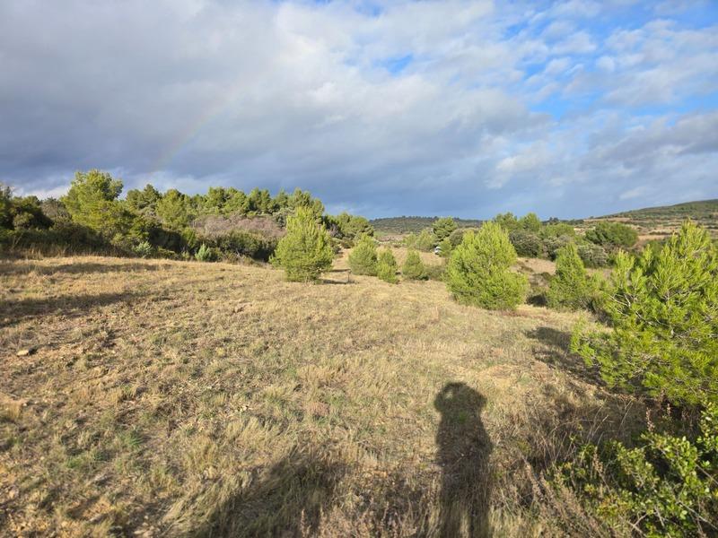 Terrain agricole - 8 540 m²