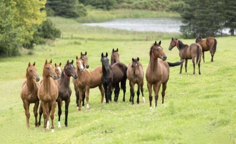 Propriété - 482 m² - 20 pièces