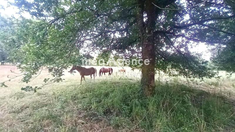 Maison de campagne - 117 m² - 3 pièces